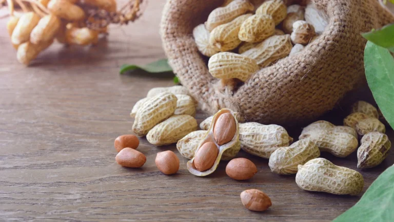 Early Allergen Introduction Evidence